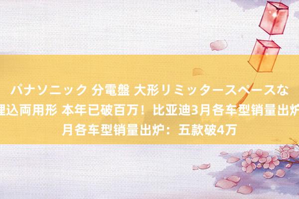 パナソニック 分電盤 大形リミッタースペースなし 露出・半埋込両用形 本年已破百万！比亚迪3月各车型销量出炉：五款破4万