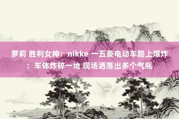 萝莉 胜利女神：nikke 一五菱电动车路上爆炸：车体炸碎一地 现场洒落出多个气瓶