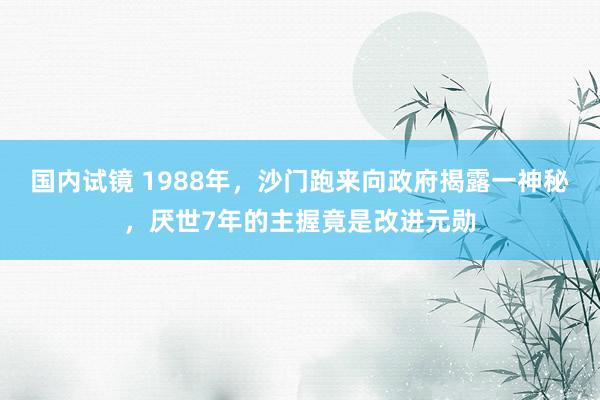 国内试镜 1988年，沙门跑来向政府揭露一神秘，厌世7年的主握竟是改进元勋