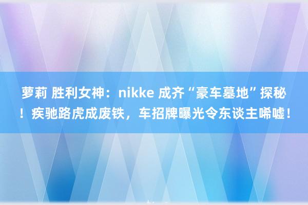 萝莉 胜利女神：nikke 成齐“豪车墓地”探秘！疾驰路虎成废铁，车招牌曝光令东谈主唏嘘！