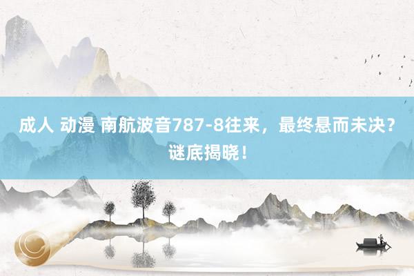 成人 动漫 南航波音787-8往来，最终悬而未决？谜底揭晓！