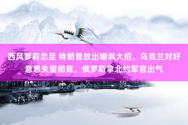 西风萝莉恋足 特朗普放出嘲讽大招，乌克兰对好意思失望彻底，俄罗斯拿北约军官出气