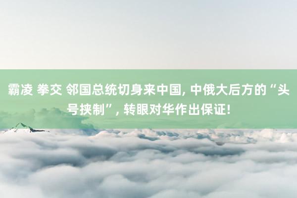 霸凌 拳交 邻国总统切身来中国， 中俄大后方的“头号挟制”， 转眼对华作出保证!