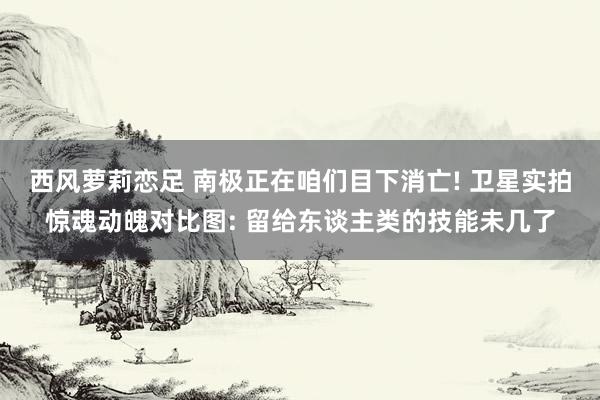西风萝莉恋足 南极正在咱们目下消亡! 卫星实拍惊魂动魄对比图: 留给东谈主类的技能未几了