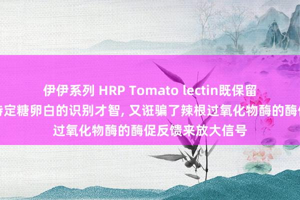 伊伊系列 HRP Tomato lectin既保留了番茄凝集素对特定糖卵白的识别才智， 又诳骗了辣根过氧化物酶的酶促反馈来放大信号