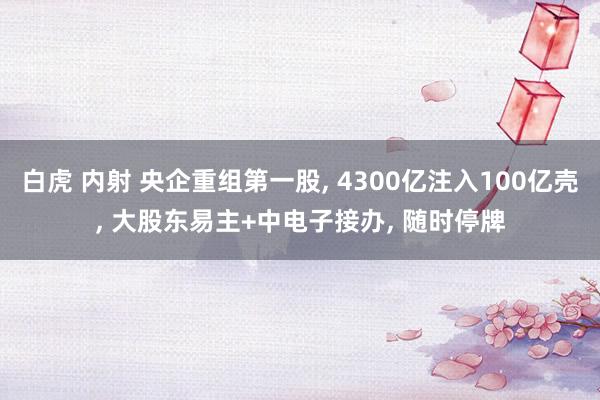 白虎 内射 央企重组第一股， 4300亿注入100亿壳， 大股东易主+中电子接办， 随时停牌