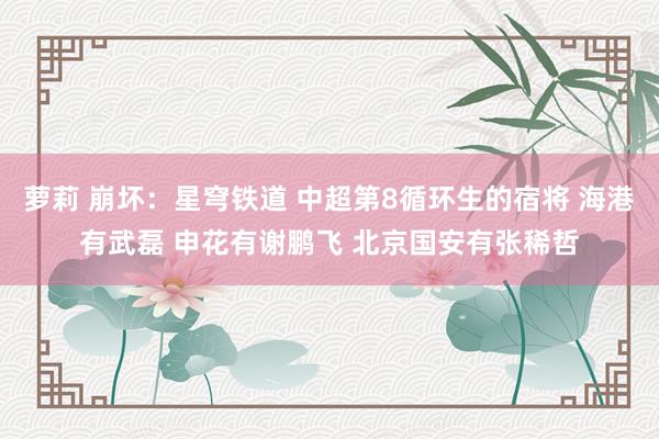 萝莉 崩坏：星穹铁道 中超第8循环生的宿将 海港有武磊 申花有谢鹏飞 北京国安有张稀哲