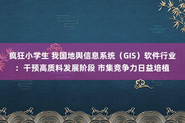 疯狂小学生 我国地舆信息系统（GIS）软件行业：干预高质料发展阶段 市集竞争力日益培植