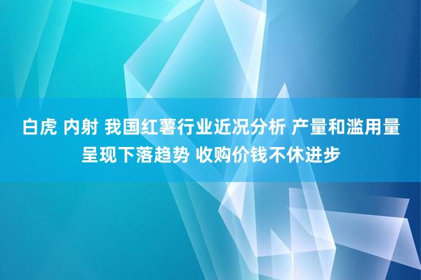 白虎 内射 我国红薯行业近况分析 产量和滥用量呈现下落趋势 收购价钱不休进步