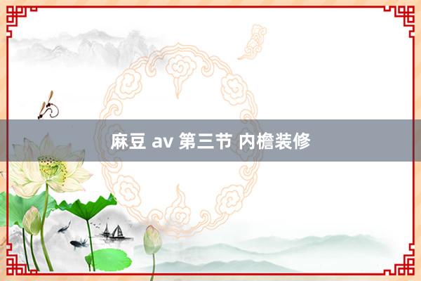 麻豆 av 第三节 内檐装修