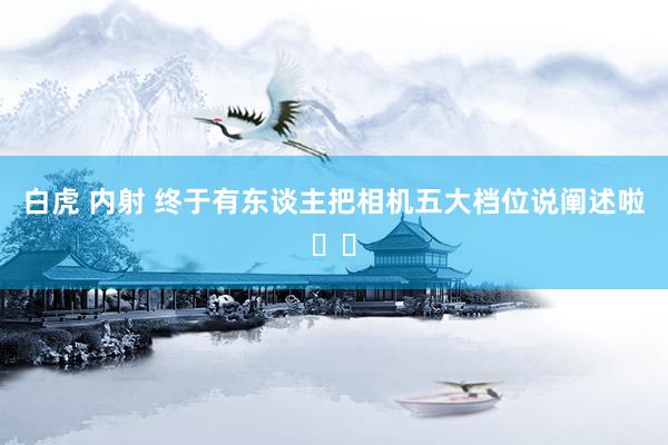白虎 内射 终于有东谈主把相机五大档位说阐述啦❗️