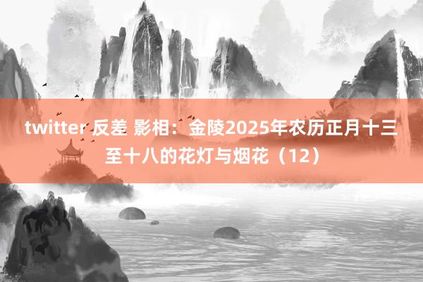 twitter 反差 影相：金陵2025年农历正月十三至十八的花灯与烟花（12）