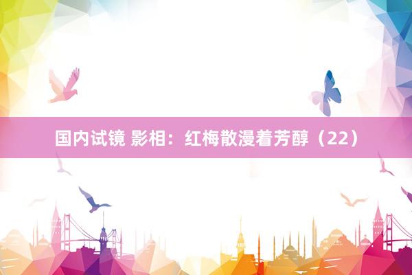 国内试镜 影相：红梅散漫着芳醇（22）