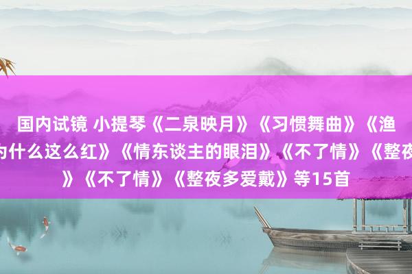 国内试镜 小提琴《二泉映月》《习惯舞曲》《渔舟唱晚》《花儿为什么这么红》《情东谈主的眼泪》《不了情》《整夜多爱戴》等15首
