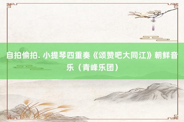自拍偷拍. 小提琴四重奏《颂赞吧大同江》朝鲜音乐（青峰乐团）