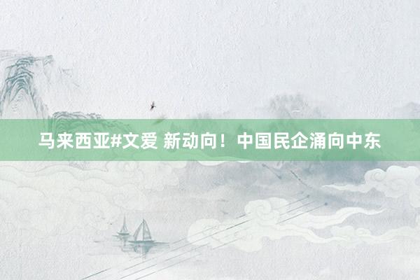 马来西亚#文爱 新动向！中国民企涌向中东