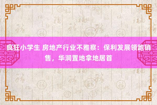 疯狂小学生 房地产行业不雅察：保利发展领跑销售，华润置地拿地居首