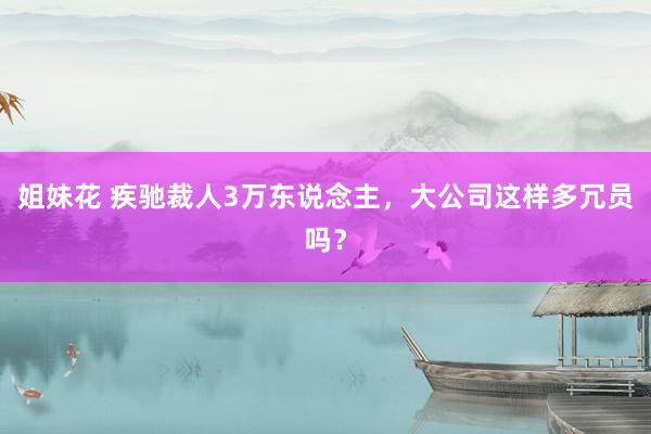 姐妹花 疾驰裁人3万东说念主，大公司这样多冗员吗？